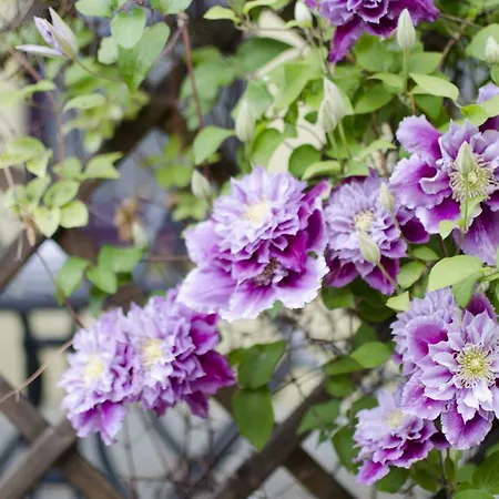 Stadthaus Βάρεν